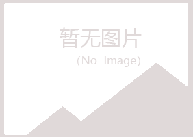 九江女孩能源有限公司